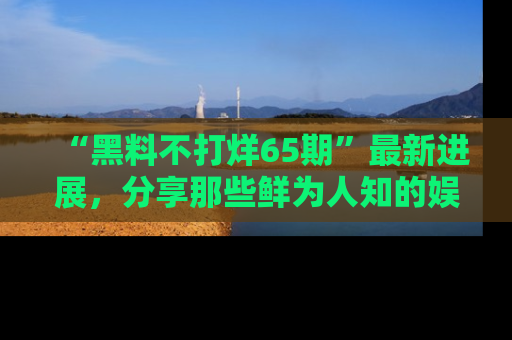 “黑料不打烊65期”最新进展，分享那些鲜为人知的娱乐八卦