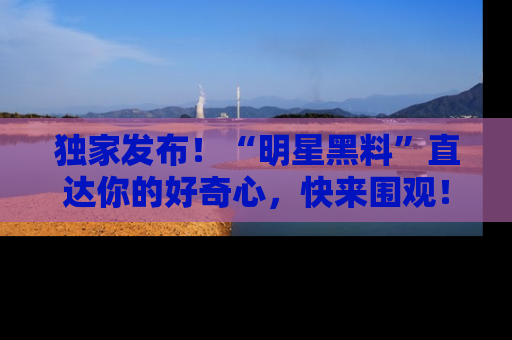 独家发布！“明星黑料”直达你的好奇心，快来围观！
