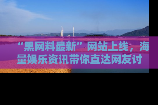 “黑网料最新”网站上线,海量娱乐资讯带你直达网友讨论的中心!