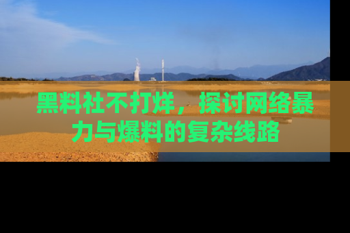 黑料社不打烊，探讨网络暴力与爆料的复杂线路