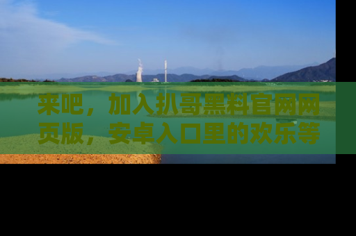来吧，加入扒哥黑料官网网页版，安卓入口里的欢乐等着你！