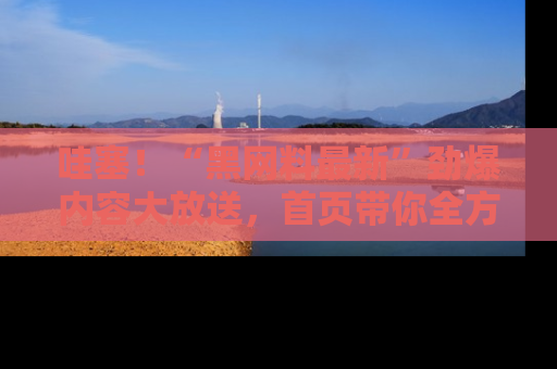 哇塞！“黑网料最新”劲爆内容大放送，首页带你全方位了解哦，小可爱们