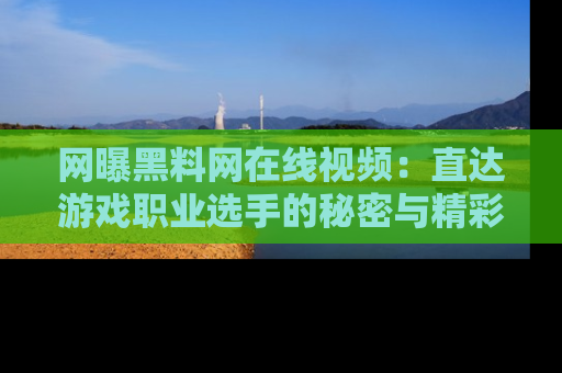 网曝黑料网在线视频：直达游戏职业选手的秘密与精彩动漫片段！