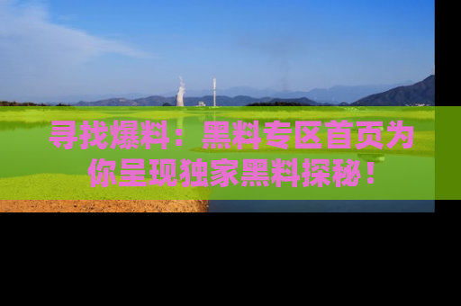 寻找爆料：黑料专区首页为你呈现独家黑料探秘！