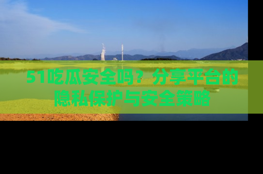 51吃瓜安全吗?分享平台的隐私保护与安全策略