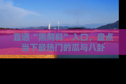 直通“黑网料”入口,盘点当下最热门的瓜与八卦
